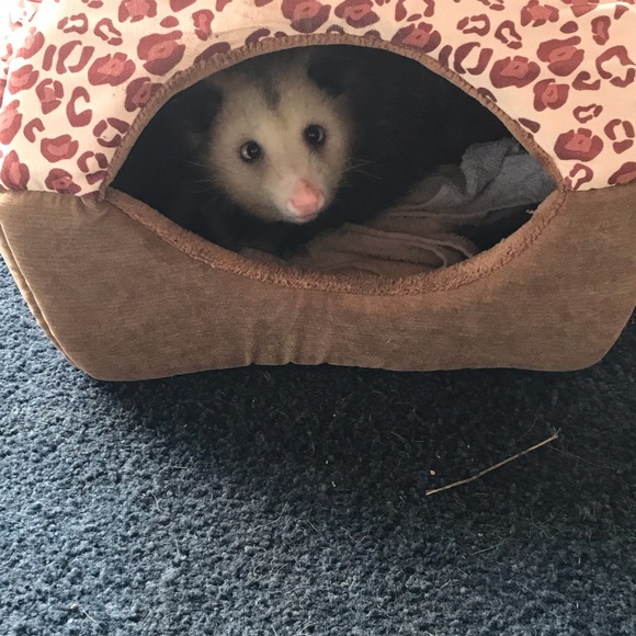 A little about my closet.... - Picture 1 of 8